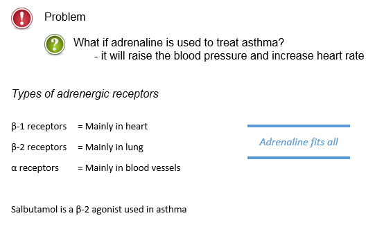 Types of adrenergic receptors