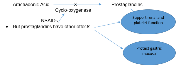 actio. of prostaglandins