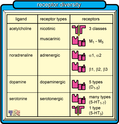 Receptor diversity