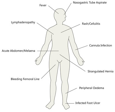 Diagram of the body