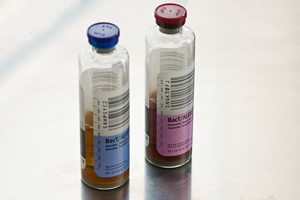 blood culture bottles