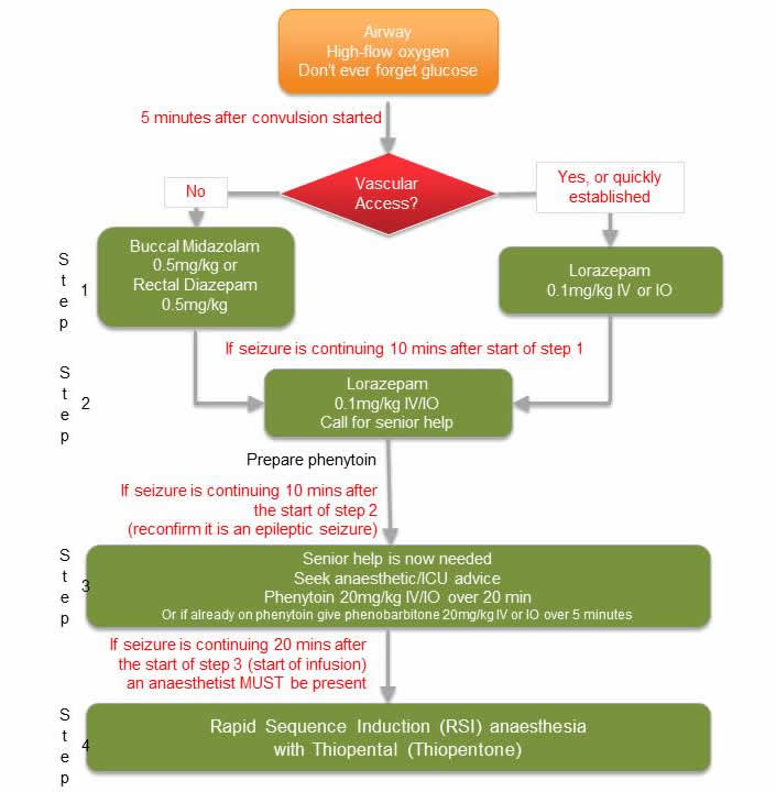 Status Epilepticus Algorithm