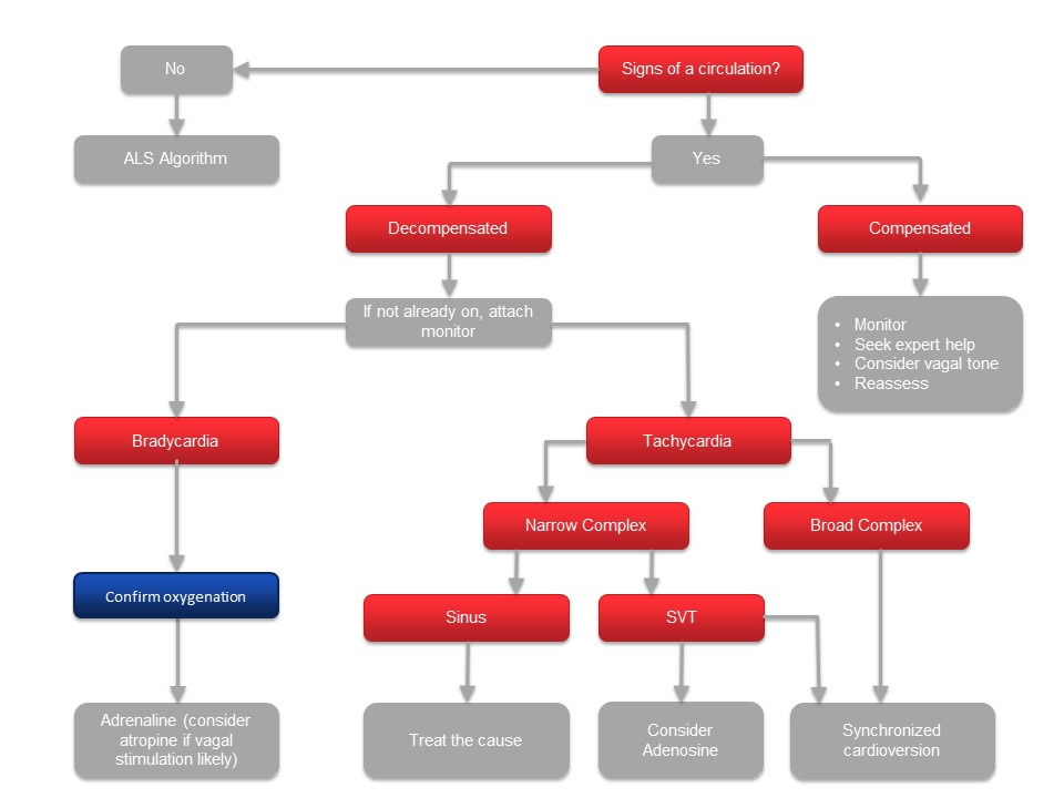 Summary diagram